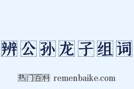 辨公孙龙子组词是什么意思的图片